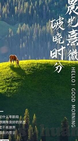 大话西游手游九游版本下载-大话西游手游九游版本的独特魅力和探索之旅