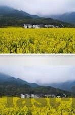 卢森堡世界杯-卢森堡世界杯之旅，足球小国的奇迹与梦想